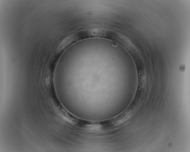 X0000097880266200803141326