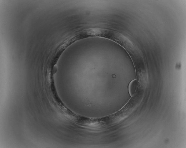 X0000097880267200803141326