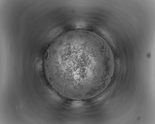 X0000097880269200803141326