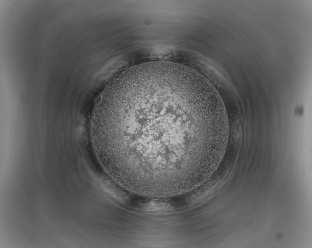 X0000097880270200803141326