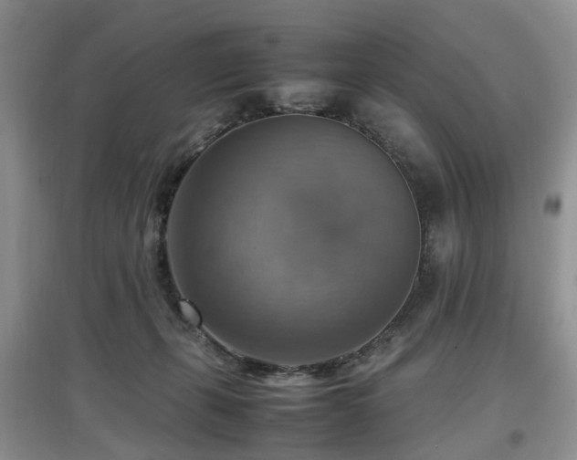 X0000097880271200803141326