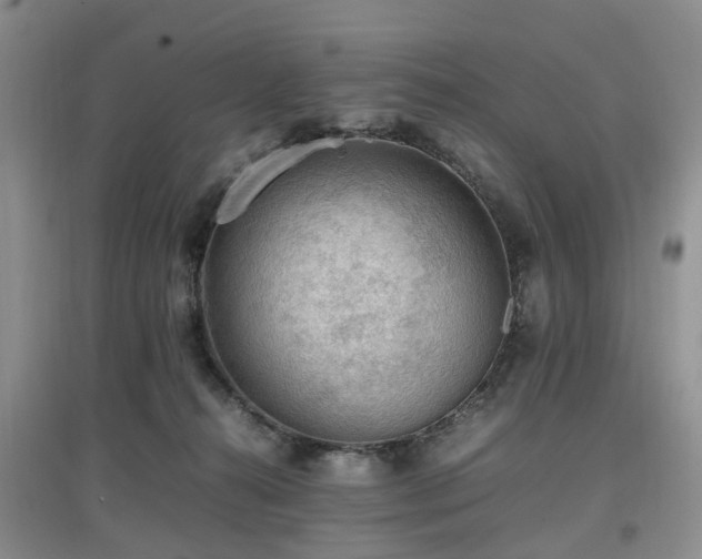 X0000097880272200803141326