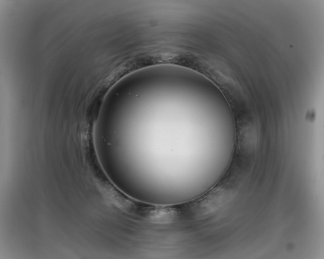 X0000097880274200803141326