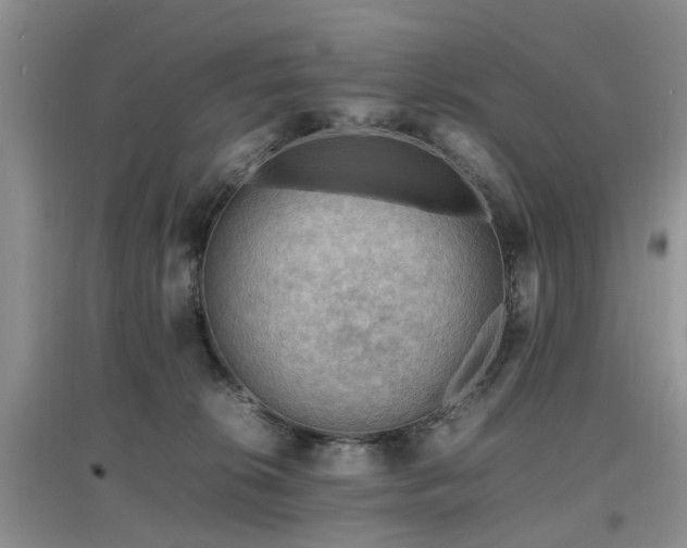 X0000097880276200803141326