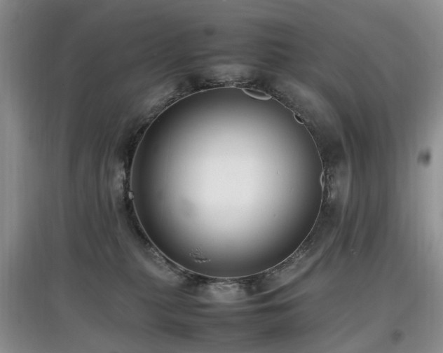 X0000097880279200803141326