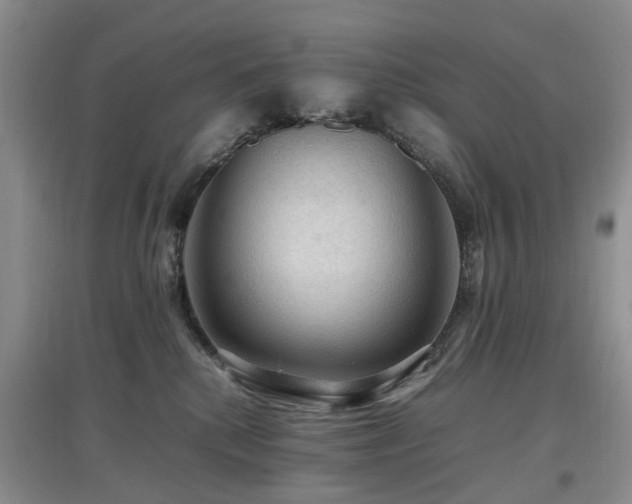X0000097880280200803141326