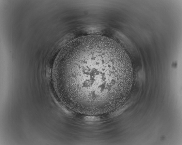 X0000097880281200803141326