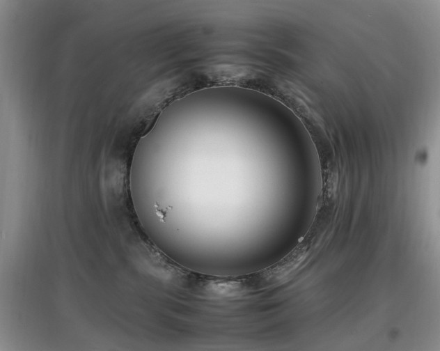 X0000097880283200803141326