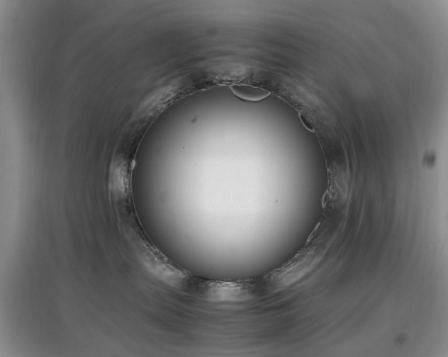 X0000097880287200803141326