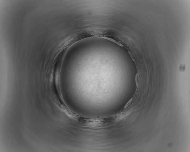 X0000097880288200803141326