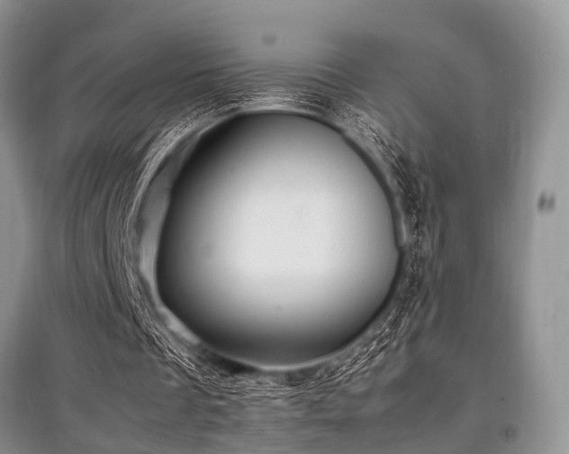 X0000097880289200803141326