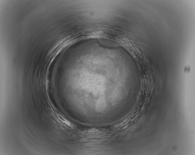 X0000097880290200803141326