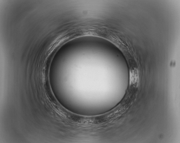 X0000097880291200803141326