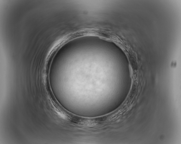 X0000097880293200803141326