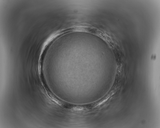 X0000097880294200803141326