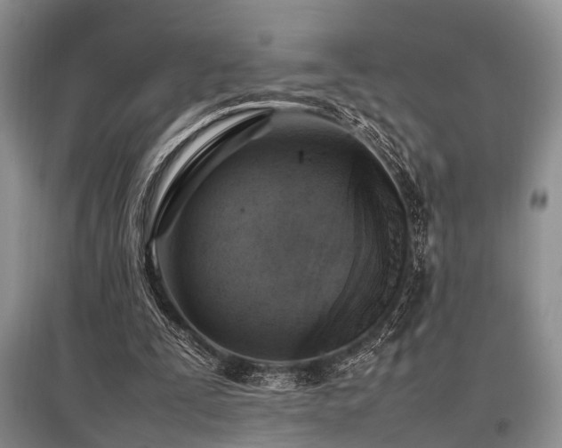 X0000097880295200803141325