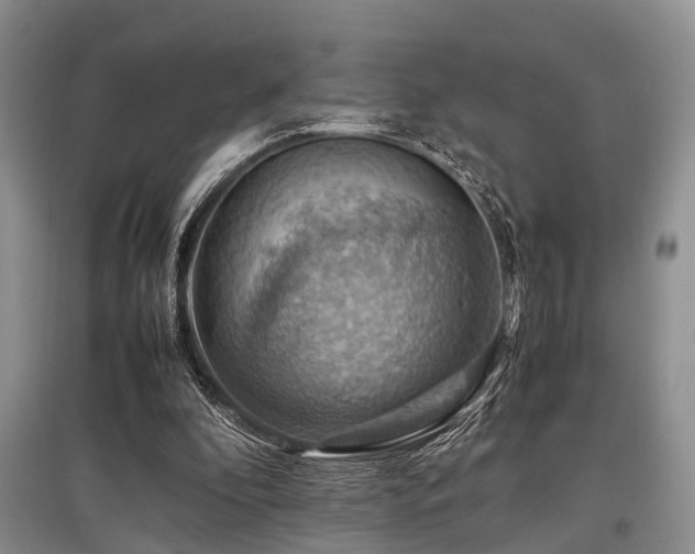X0000097880296200803141325