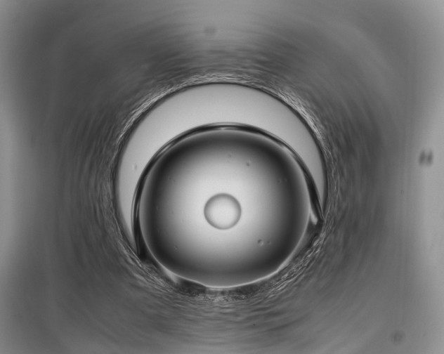 X0000097880297200803141325