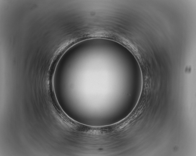 X0000097880298200803141325