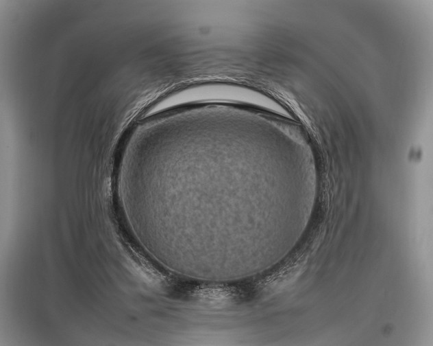 X0000097880299200803141325