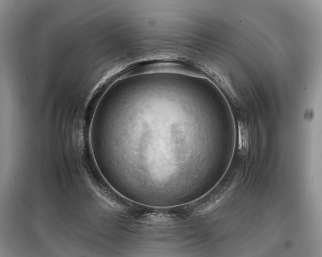 X0000097880300200803141325