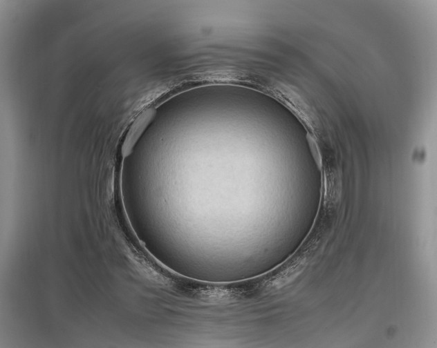 X0000097880301200803141325