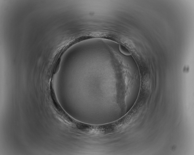 X0000097880303200803141325