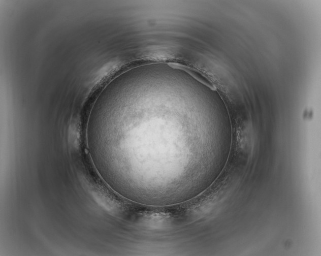 X0000097880304200803141325