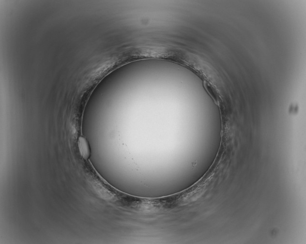 X0000097880305200803141325