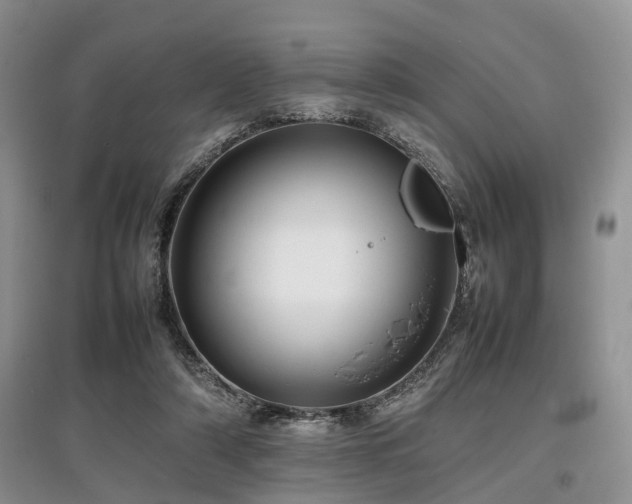 X0000097880306200803141325