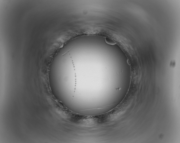 X0000097880307200803141325