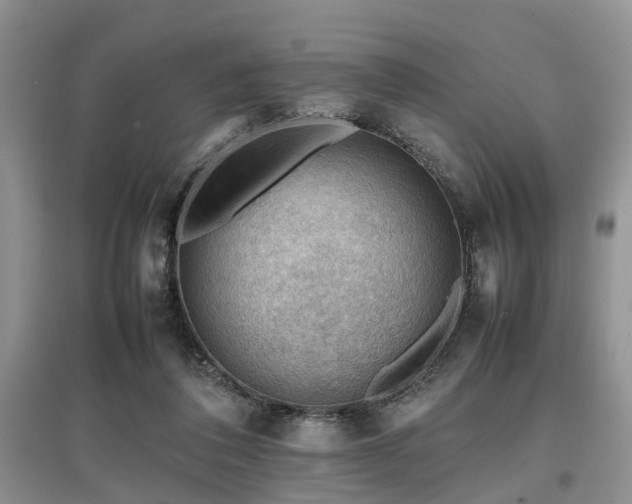 X0000097880308200803141325