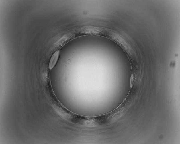 X0000097880309200803141325