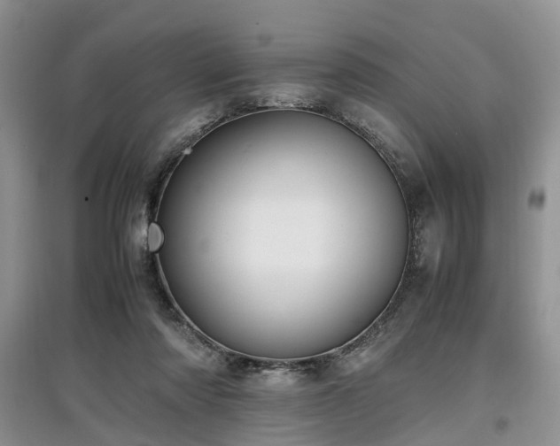 X0000097880310200803141325