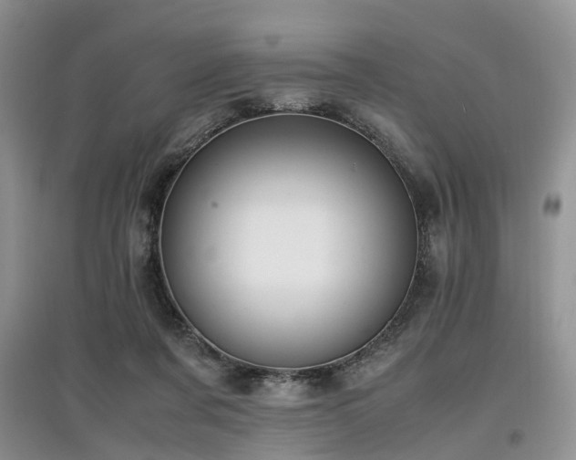 X0000097880311200803141325