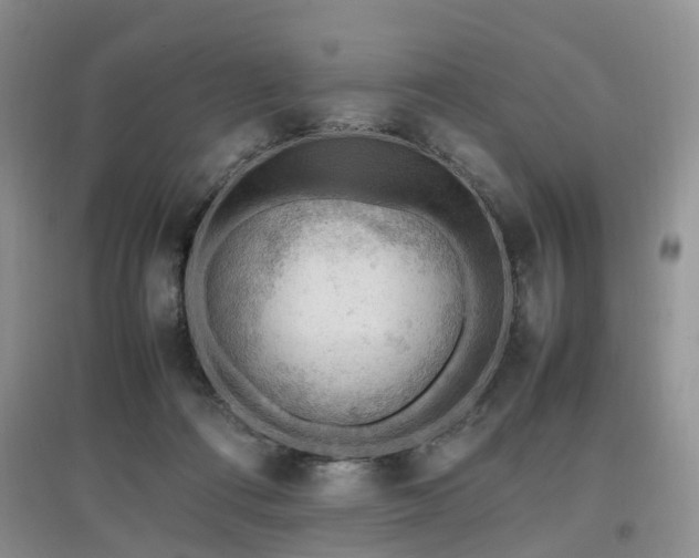X0000097880312200803141325