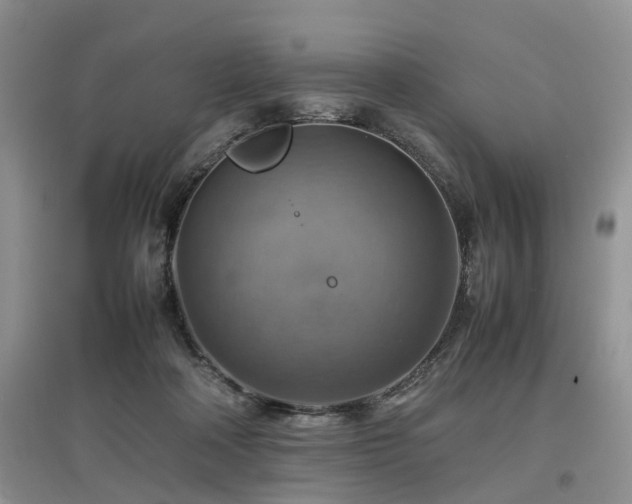 X0000097880314200803141325