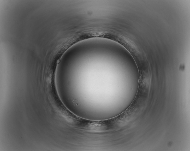 X0000097880315200803141325