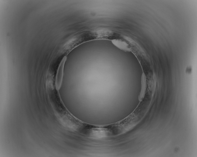 X0000097880316200803141325