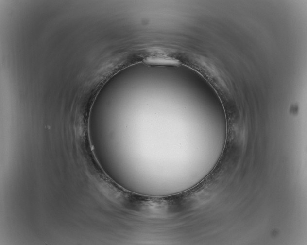 X0000097880317200803141325