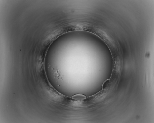 X0000097880318200803141325