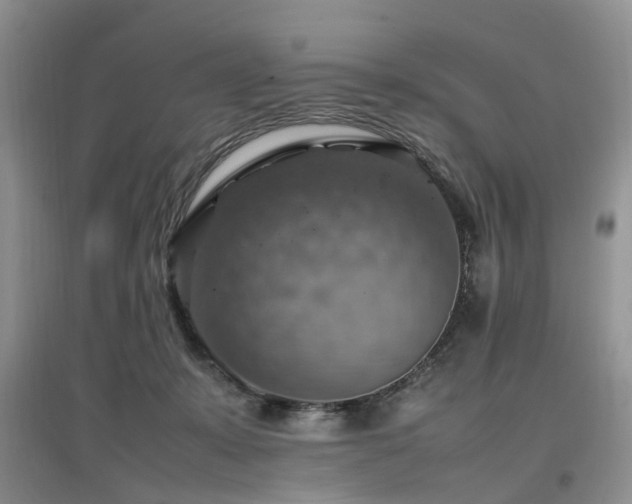 X0000097880319200803141325