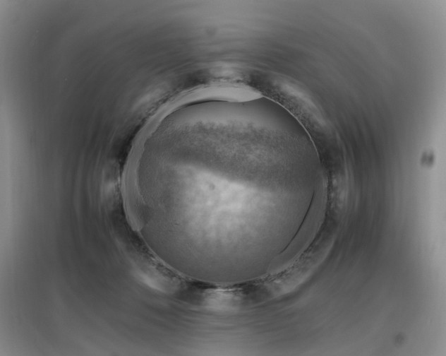 X0000097880320200803141325