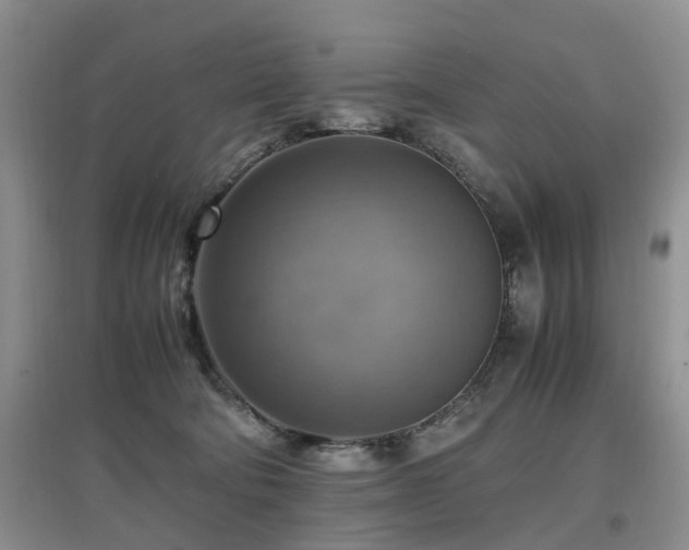 X0000097880322200803141325