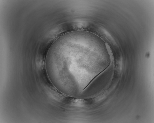 X0000097880324200803141325
