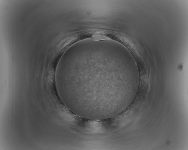 X0000097880325200803141325