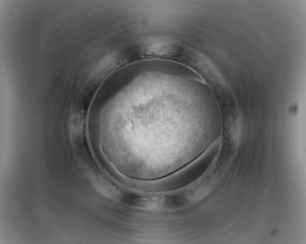 X0000097880328200803141325