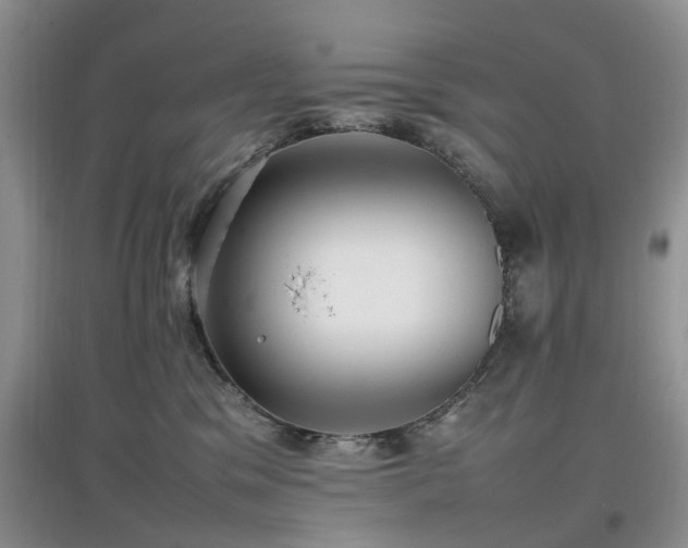 X0000097880329200803141325