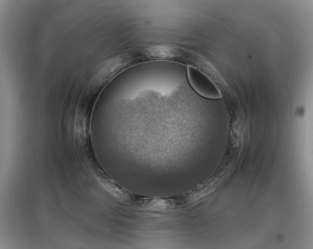 X0000097880330200803141325
