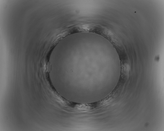 X0000097880331200803141325